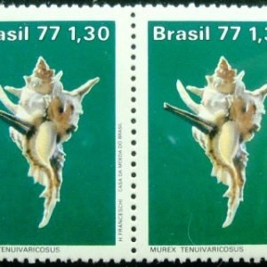 Par de selos postais do Brasil de 1977 Murex Tenuivaricosus