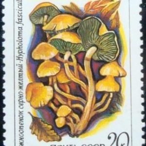 Selo postal da união Soviética de 1986 Sulphur Tuft