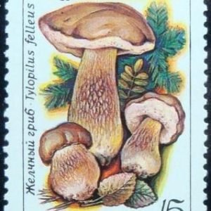 Selo postal da união Soviética de 1986 Bitter bollete