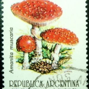 Selo postal da Argentina de 1993 Amanita muscaria