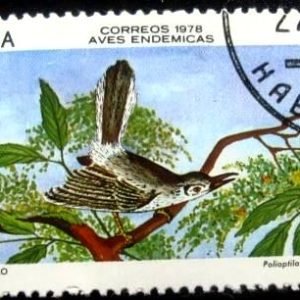 Selo postal de Cuba de 1978 Cuban Gnatcatcher