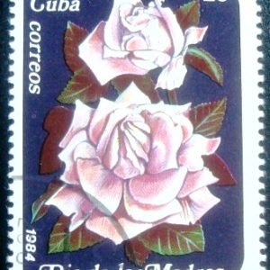 Selo postal de Cuba de 1984 Pink Roses