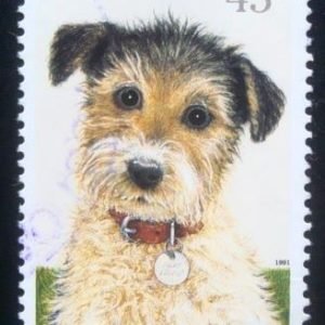 Selo postal de Burma de 1965 Indian Roller 15