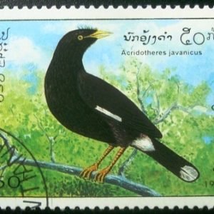 Selo postal da Libéria de 1995 Javan Myna