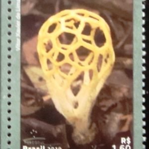 Selo postal do Brasil de 2019 Clathrus Chrysomycelinus