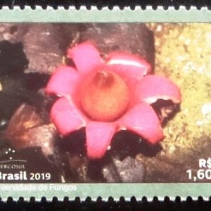 Selo postal do Brasil de 2019 Geastrum Violaceum