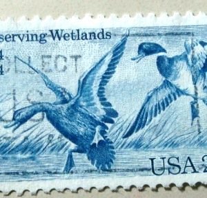 Selo postal dos Estados Unidos de 1984 Mallard U