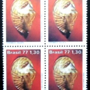 Quadra de selos postais do Brasil de 1977 Strombus M QD