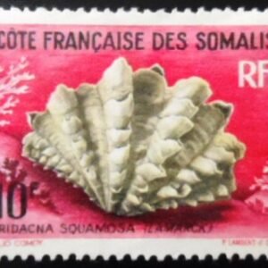 Selo postal da Somália Francesa de 1962  Fluted Giant Clam N