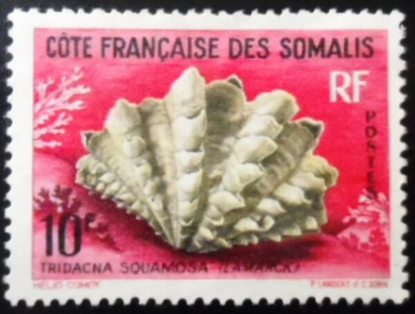 Selo postal da Somália Francesa de 1962  Fluted Giant Clam N