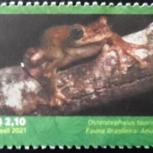 Selo postal do Brasil de 2021 Osteocephalus taurinus U