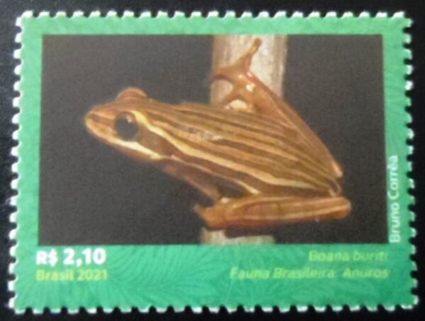Selo postal do Brasil de 2021 Boana Buriti M