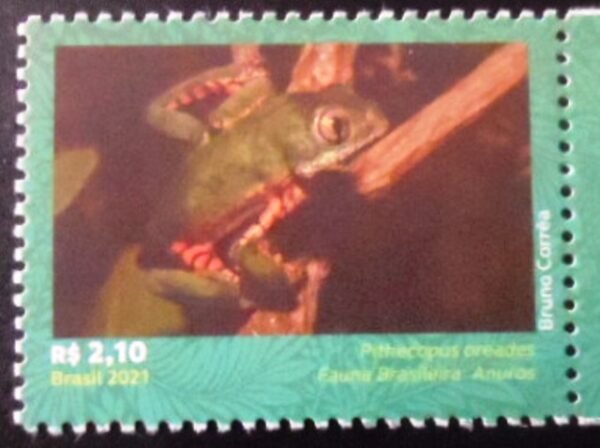 Selo postal do Brasil de 2021 Pithecopus Oreades M