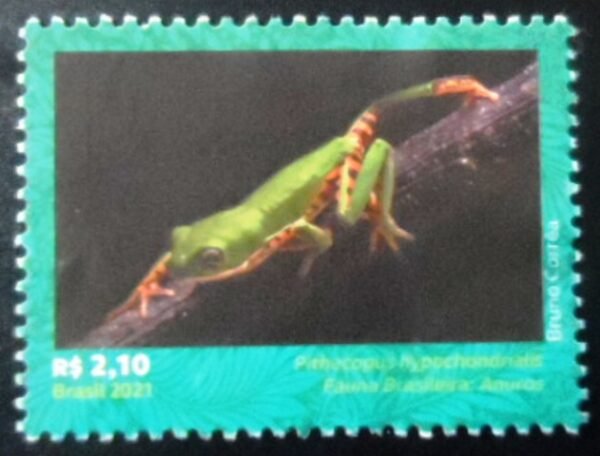 Selo postal do Brasil de 2021 Pithecopus Hypochondrialis U