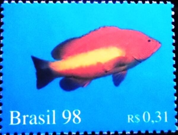 Selo postal do Brasil de 1998 Peixe Dourado M