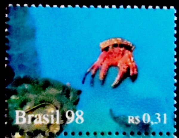 Selo postal do Brasil de 1998 Anêmona e Coral M