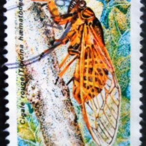 Selo postal da França de 1977 Red Cicada U