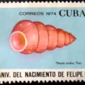 Selo postal de Cuba de 1974 Snail N