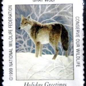 Selo postal Cinderela dos Estados unidos de 1999 Gray Wolf N