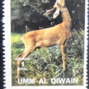 Selo postal de Umm Al Quiwain de 1972 Western Roe Deer NCC