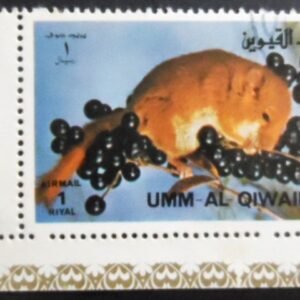Selo postal de Umm Al Qiwain de 1972 Hazel Dormouse NCC