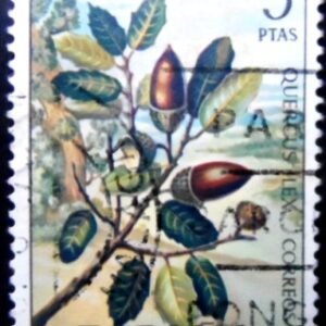 Selo postal da Espanha de 1972 Holm Oak U