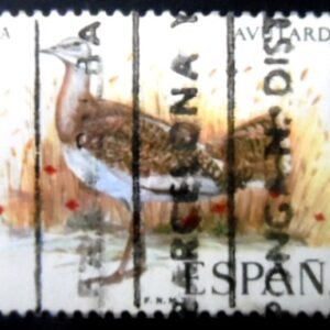 Selo postal da Espanha de 1971 Great Bustard U