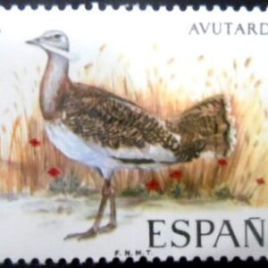 Selo postal da Espanha de 1971 Great Bustard M