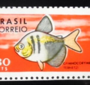 Selo postal do Brasil de 1969 Gymnocorymbus Ternetzi M