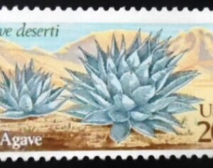 Selo postal dos Estados Unidos de 1981 Desert Plants Agave N