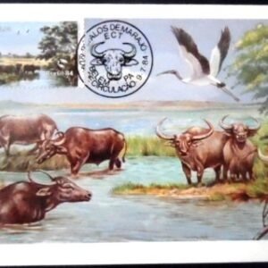 Máximo postal nº 103 de 1984 Búfalo Carabao