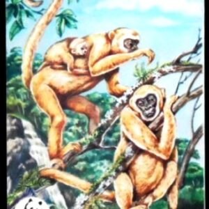 Cartão postal do Brasil de 2017 Centenário do Samba