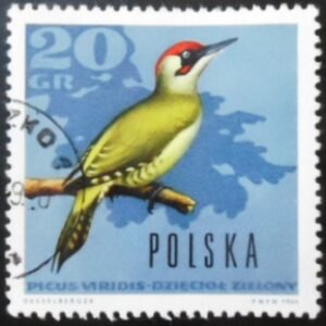 Selo postal da Polônia de 1966  European Green Woodpecker U