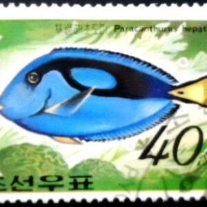 Selo postal da Coréia do Norte de 1991 Palette Surgeonfish MCC