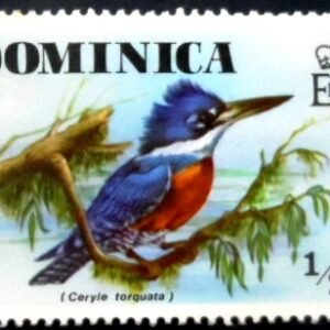 Selo postal de Dominica de 1976 Ringed Kingfisher M