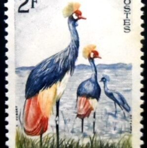 Selo postal do Niger de 1960 Black Crowned Crane M