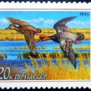 Selo postal da União Soviética de 1990 Red-crested Pochard M