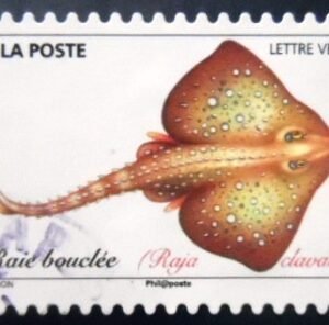 Selo postal da França de 2019 Thornback Ray U