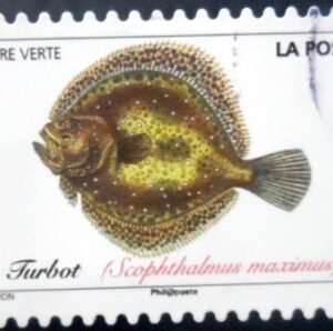 Selo postal da França de 2019 Turbot U