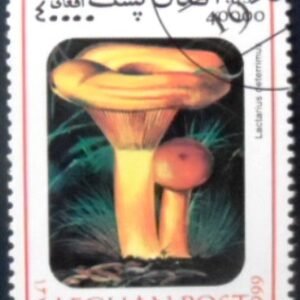 Selo postal do Afeganistão de 1999 False saffron milk-cap MCC