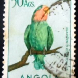 Rosy-faced Lovebird (Agapornis roseicollis)