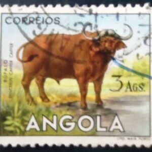 Selo postal de Angola de 1953 African Buffalo U