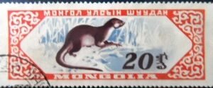Selo postal da Mongólia de 1959 - Eurasian Otter U
