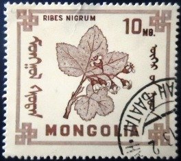 Selo postal da Mongólia de 1968 Ribes Nigrum U