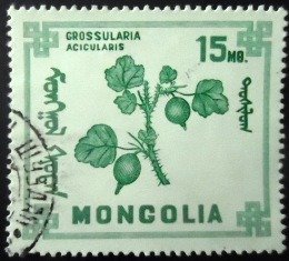 Selo postal da Mongólia de 1968 Goose-berries U