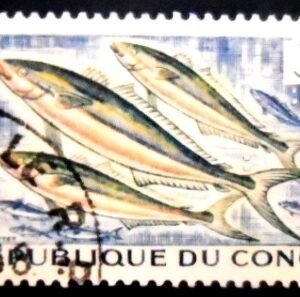 Selo postal do Congo de 1961 Rainbow Runner 3 U