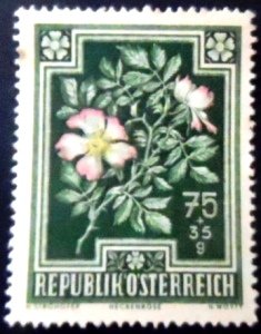 Selo postal da Áustria de 1948 Dog Rose N