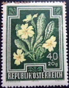 Selo postal da Áustria de 1948 Primrose N