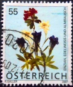 Selo postal da Áustria de 2007 Gentiana U