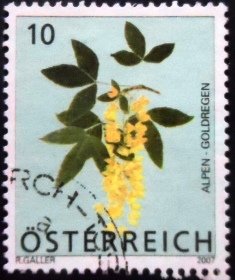 Selo postal da Áustria de 2007 Scotch Laburnum U